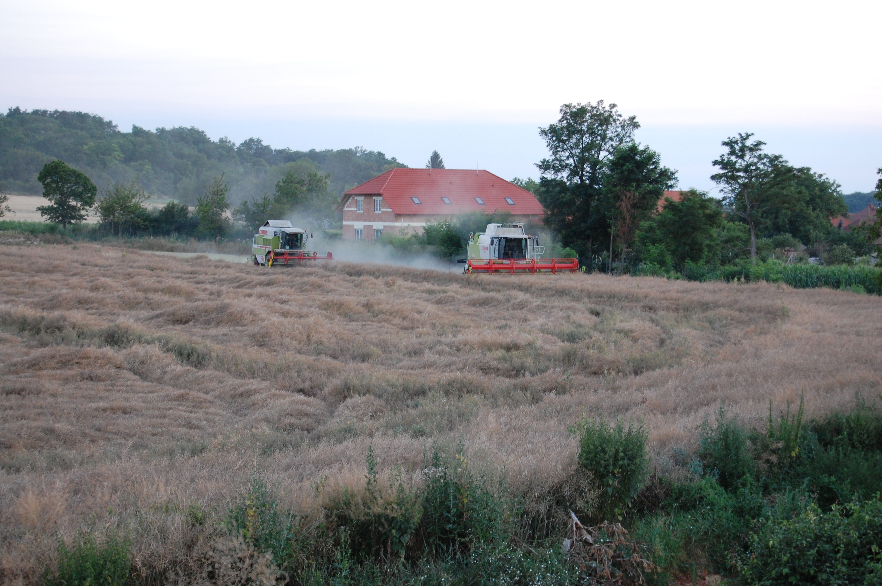 Fotogaléria Žatva 2012 (24) Žatva 2012